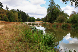 lago e ponte de verão: 