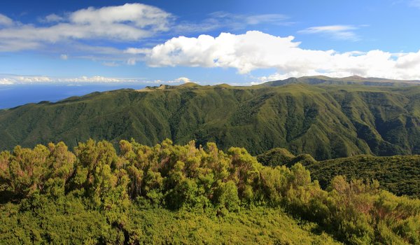 Green panorama: Mountains of the high inland area of Madeira (c. 2000m), covered in laurisilvan native forest. Four image photomerge.
