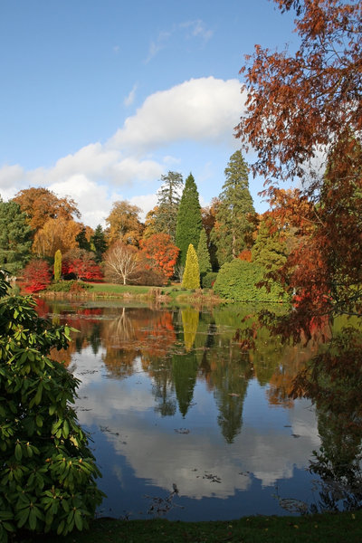 Lakeside vignette: View of a lake planted with ornamental trees in a park in East Sussex, England, in autumn.