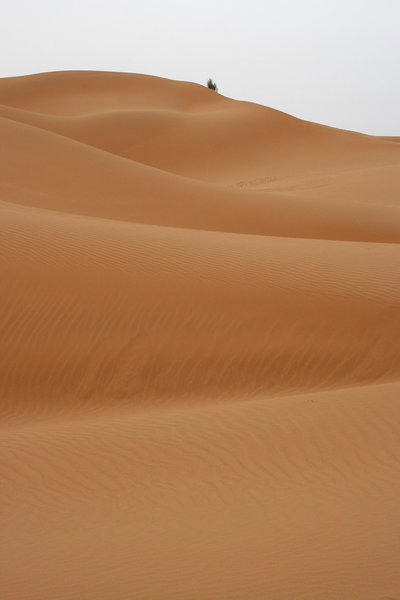 Tengger desert: Sand dunes of the Tengger desert, China.