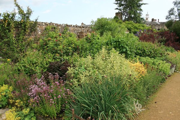 Flower garden: An herbaceous border in a garden in West Sussex, England.