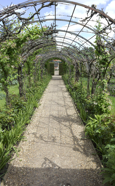 pergola in spring | Free stock photos - - Free images | micromoth | May 16 - 2012 (11)