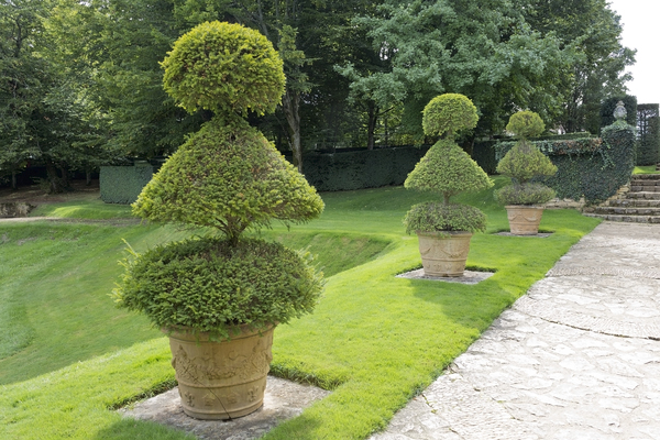Jardín Topiary: 