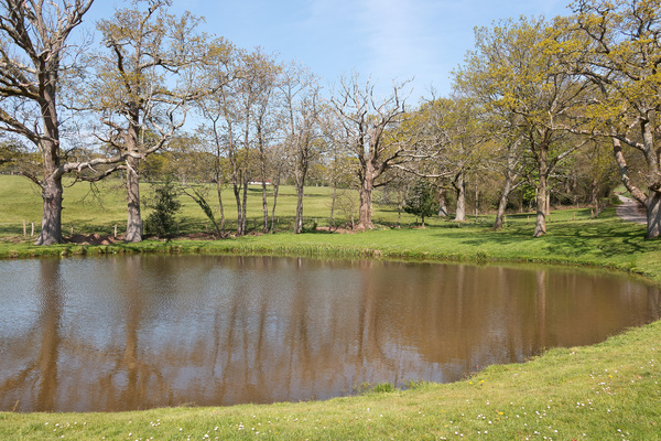 Pond in spring | Free stock photos - Rgbstock - Free stock images |  micromoth | April - 20 - 2019 (0)