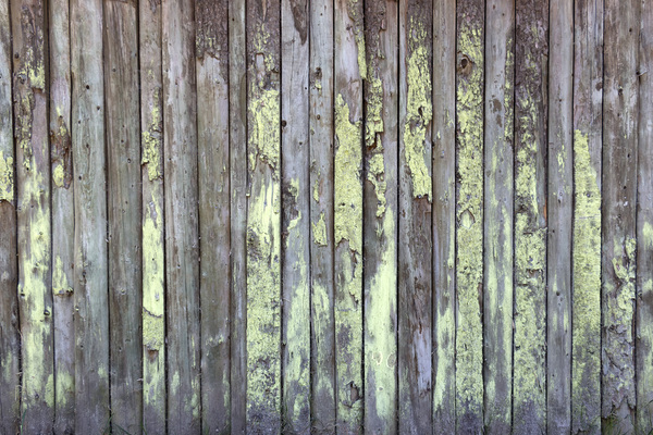 Wooden wall background | Free stock photos - Rgbstock - Free stock images |  micromoth | June - 25 - 2020 (3)