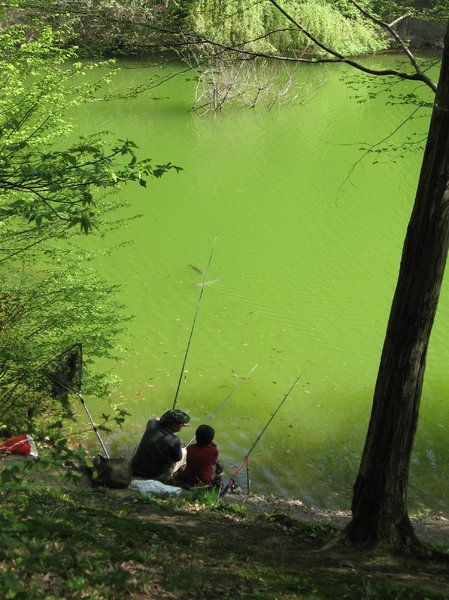 Angeln im Teich: 