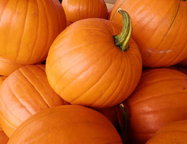 pumpkin: no description