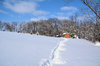 Chemin d'hiver vers l'abri: 