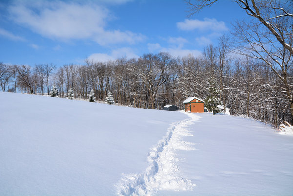 Chemin d'hiver vers l'abri: 