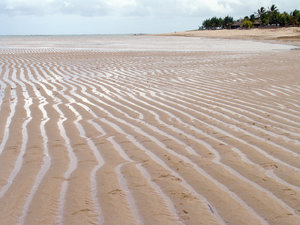 > Maré baixa: Maré baixa em Serrambi, Pernambuco, BrasilLow tide in Serrambi