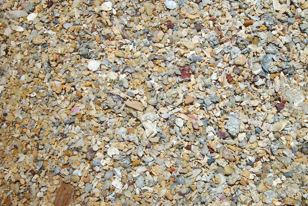 > Conchas e Pedras: Textura de pedras, areia e conchasTexture of rocks, sand and shells