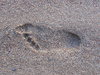 A foot on the sand: A foot on the sand shore. Please let me know if you decide to use it!