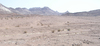 Desert: Deserts of Sinai.