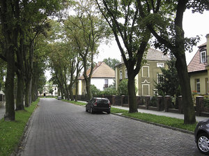 Street with trees: A street surrounded with trees. Inowrocław, Poland.
