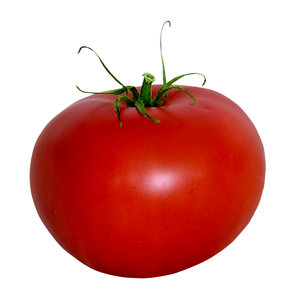 Tomato: Red thing.