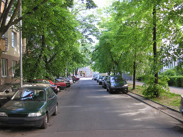 Tree street: A nice street in Warsaw.