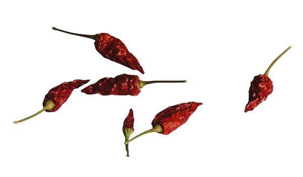 Chilli peppers: A dried chilli peppers.