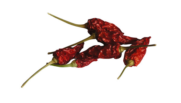 Chilli peppers: A dried chilli peppers.