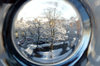 Seasonal blur: A tree in my local street viewed through a winter lens.