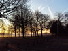 Dawn in Newsham Park: The dawn sun shiining through the tree silhouettes of Newsham Park Liverpool