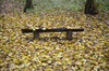 Bench in a park: Lonesome wooden bench. Enjoy.