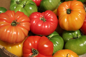 Heirloom Tomatoes: Tomatoes in basket