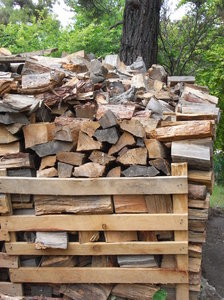 Wood pile: Wood for winter