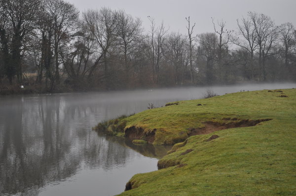 Mist on the River Thames or Is: Cold damp misty day in December in south Oxfordshire. Walking along the River Thames.