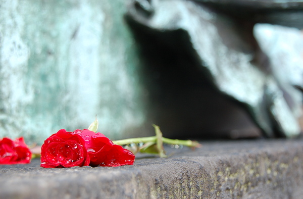 Death in Hannover: A red rose rest at he feet of a Luther statue. Staring at the empty sky durig a rainy afternoon.
