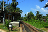 Jungle Express: Train Station in the jungle. Unawatuna, Sri Lanka.