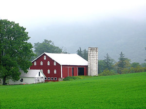 Misty Morning Barn: Pennsylvania farm on a misty morning