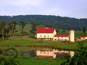 Reflecting Barn: Farm reflections in Virginia