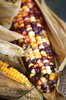 Corn: corn