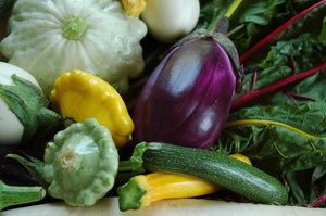 Vegetables: aubergine eggplant patisson vegetables courgette swisschard pattypan