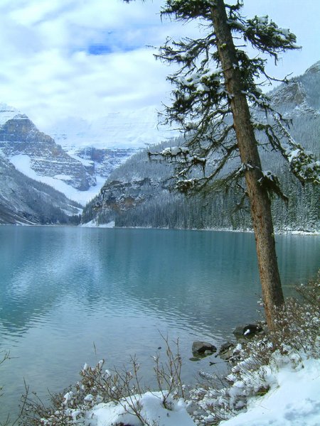 Lake Louise 2: Some other photos I took when I was on vacation in Lake Louise last October.(Lake Louise series)