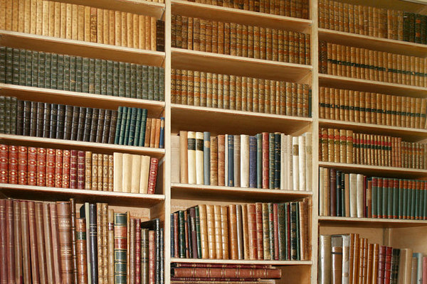 Bookcase: Collection of old books found in country house.