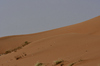 Desert Landscape: Desert Sand and small rocks are found in the large desert areas in Saudi Arabia and this red sands are found usually outside the main capital of Riyadh. No life seen, just sand and sky.