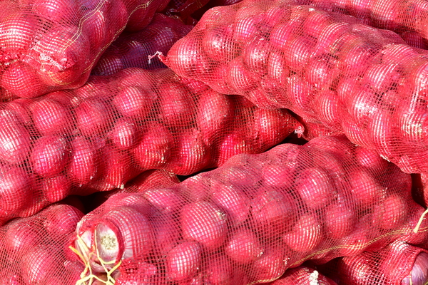 Many Red Onions in Purple Mesh Bags Stock Photo - Image of shop, bags:  278053590