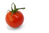 Cherry tomato 1: One cherry tomato isolated on white background.