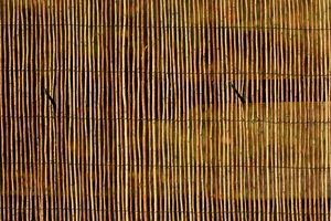 Bamboo Background: Bamboo fence for background
