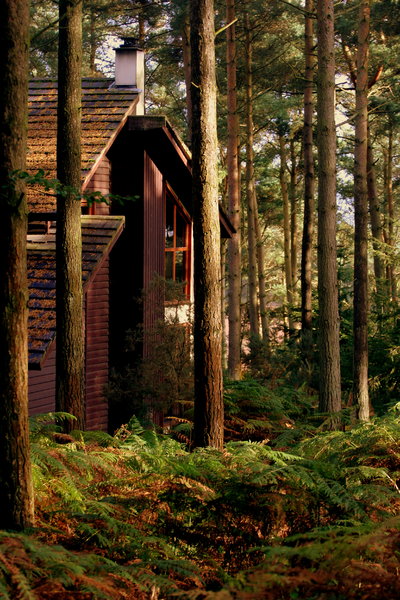 Forest Lodge: 