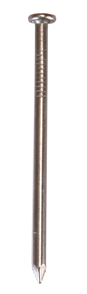 Galvanized Nail: Isolated picture of a standard nail.
