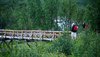 Walking in he mountains: Walking over a bridge in the montains in the north of Sweden