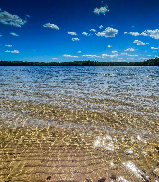 na plaży ze słodką wodą: 