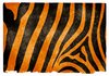 Tiger Stripes Grunge Paper: Grunge textured tiger stripes on vintage paper.