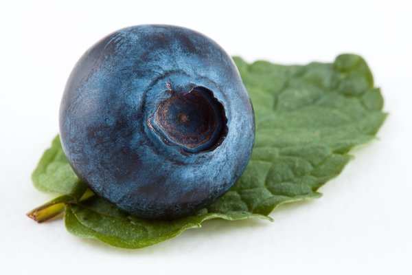 Blueberry & Mint: 