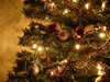 Graham's Christmas Tree 1: 