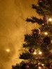 árbol de navidad de graham 9: 