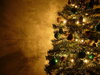 Graham's Christmas Tree 15: After decorating my tree in silver and red in 2006 and in purple in 2007, this year's colour theme is green and gold - enjoy!