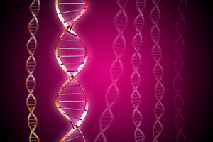 DNA molecule 6: DNA double helix illustration